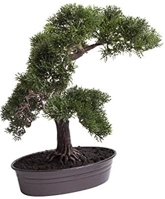Botanic-Haus künstlicher Cedern Bonsai in brauner ovaler Metallschale