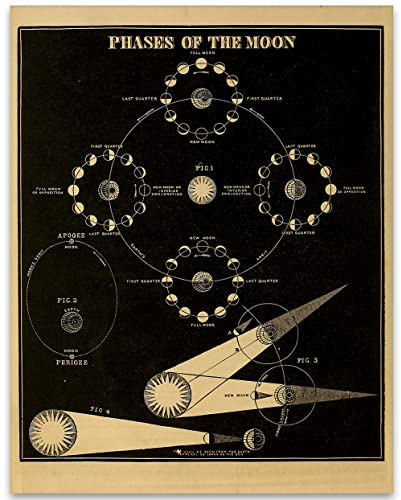 Ancient Phases of the Moon Manuscript Poster - 11x14 Unframed Art Print - Vintage Posters for Dark Academia, Space Poster for Astronomers and Space Exploration Enthusiasts, Astronomy Decor