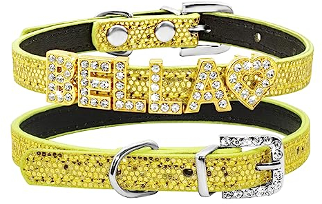 SARUEL Personalisiertes Katzenhalsband Name Katzenhalsband Weiches Haustierhalsband Für Kätzchen Welpen Kleines Hundehalsband,Gold,S (20cm-27cm)