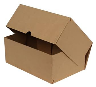 NoblesBox Klappschachtel 250 x 160 x 100 mm - Maxibriefkarton, Faltschachtel für Versand, Post, Büchersendung, Rechteckig, Stabil, Braun, Versandschachtel (75)