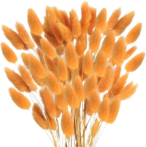 MHDAMAI Secas Naturales Cola de Conejo Flor,Hierba Seca de Cola de Conejo 60pcs Hierba de Pampas Secas para La Sala de Estar del Hogar Decoración de Racimos de Flores,Naranja