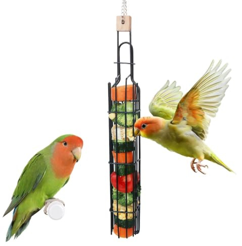 Foraging para Loros | Enriquecimiento de Metal Suspendable | Distribuidores de Pájaros, Loro | Adecuado para Periquito Calopsitte Conure Inseparable Guacamayo