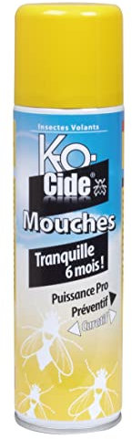 K-OCIDE - Laque Anti-Mouches - Dure 6 Mois - Foudroyant - Contre les Invasions - 300 ml