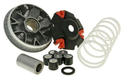 Malossi - Multivar - 60888 - 5114266 - Variateur pour Kymco Dink Street, Super Dink, People GTi 125