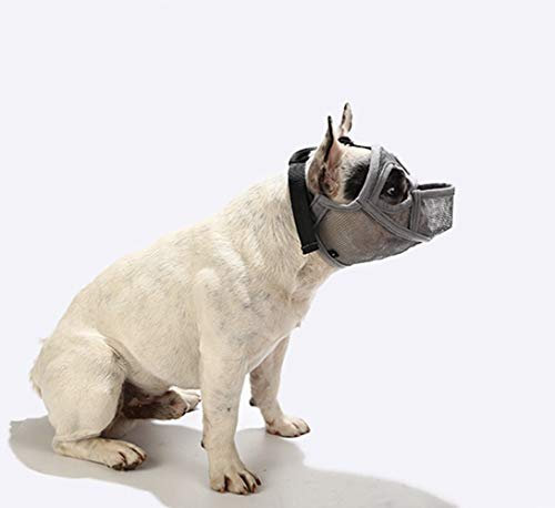 PETEMOO Maulkorb für Hunde mit abgeflachter Schnauze-verstellbar, atmungsaktiv: Englische Bulldogge, Französische Bulldogge, Pekingese, Shih-Tzu, Mops, auch für Katzen geeignet.
