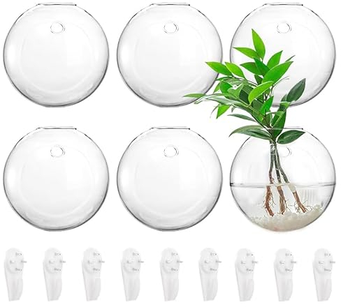 yarlung Set mit 6 wandhängenden Pflanzgefäßen Terrarium, 11.9cm Globe Pflanzen Behälter Wandhalterung Klare Blumenvase zur Vermehrung von Hydrokulturpflanzen, Luftpflanzen (Pflanzen Nicht enthalten)