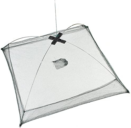 Filet De Pêche Pliable Portable - Épuisette D'atterrissage Automatique Pour Poisson, Crevettes, Vairon, Écrevisses - Piège À Maille Coulée Pour Appâts De Crabe