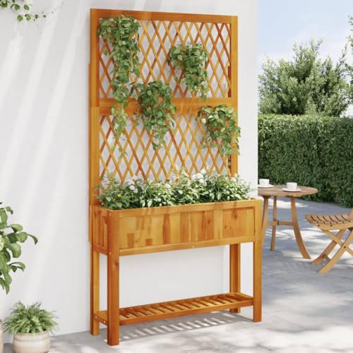 Iiaky Pflanzkübel mit Rankgitter & Ablage 100x32x185 cm PflanzküBel Mit Rankgitter Spalier Rankgitter Blumenkasten Mit Rankgitter Akazienholz