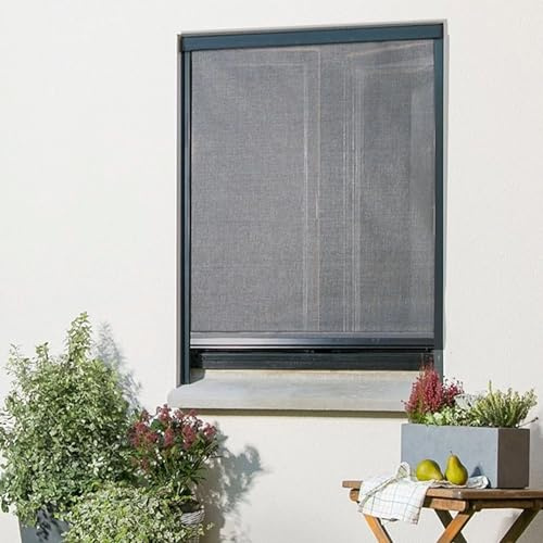 Protecta Moustiquaire Enroulable Anti-Pollen en alu pour fenêtre - Gris Anthracite - L100 x H160cm