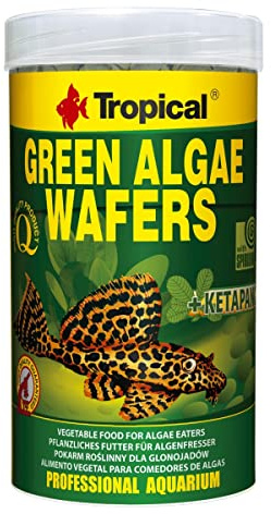 Green Algae WAFERS 250ml / 113g - Alimento con espirulina, Algas en Hojas de catappa para Peces Que Toman alimento en el Fondo del Acuario