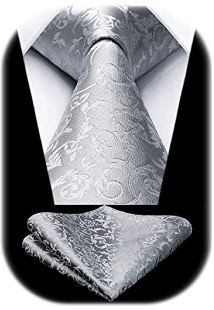 HISDERN Herren Hochzeit Silber grau Krawatten und Einstecktuch Klassisch Paisley Krawattensatz fur Manner