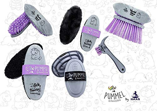 Haas Pummel Bürsten-Set 6teilig für Pferd, Haarbesitzer, Geschenkempfänger, unisex, Silber