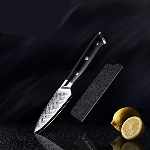 Cuchillo de chef Damasco Vg10 Cuchillo profesional Cuchillo CLEAVER HERRAMIENTA DE COCCIÓN EXQUISITO PLUM RESORTE G10 Mango con cuchillos CUCHILLA CUCHILLO (Color : Paring Knife)