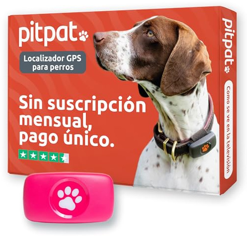 PitPat GPS per Cani Senza Abbonamento, Localizzatore Satellitare Illimitato