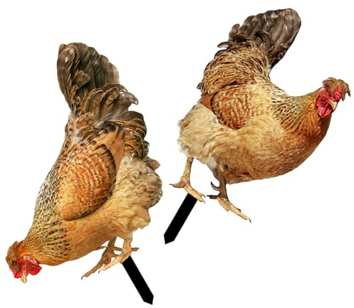 Yardwe Realistic Chicken Stake Insert for Garden Decoration Lightweight Double-Sided Lawn Ornament 9.25X4.90X0.12In Set of 2 for Outdoor Yard and Patio