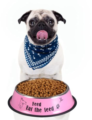 JUMPLAWN Stainless Steel Dog Bowl with Non-slip Paint Coating for Slow Feeding, round Pink Pet Feeding Utensil for Healthy Eating and Sturdy Use in Home or Outdoor Settings