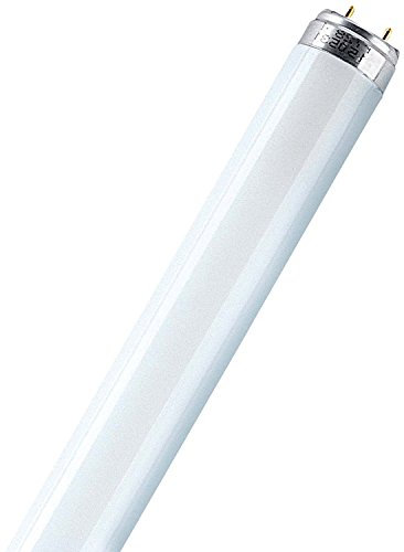 Osram. Tubo fluorescente T8 18w 865 G13. 598 X 26mm.