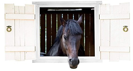 nikima - 126 Wandtattoo Pferd Schwarz Pferdekopf im Fenster mit Fensterläden - in 6 Größen - Wunderschöne Kinderzimmer Sticker Aufkleber Bezaubernde Wanddeko Wandbild Mädchen - Größe 1000 x 500 mm