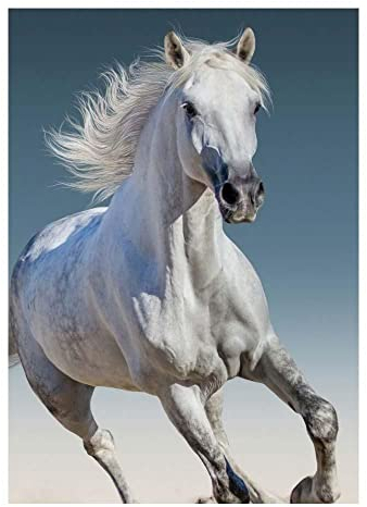 Aptex Kuscheldecke Kinderdecke Decke 100x140 cm Pferd