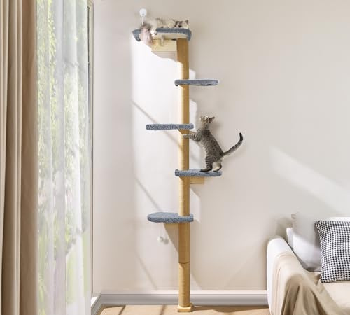 Katzenbaum Wand Groß 210cm, Kratzbaum Katzen Kletterwand 5 Eben aus Natürliches Holz mit Weichem Grauem Plüschstoff, Katzenkratzbaum für Katzen zum Klettern, Kratzen und Spielen