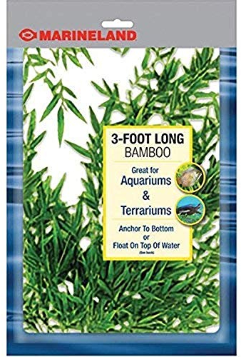 MarineLand Bamboo 3 Feet, Décor For aquariums and Terrariums, Model:47431905481,Green,blue
