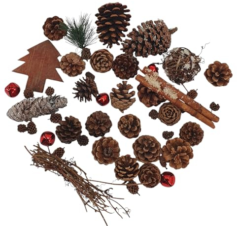 Oberle Streudeko Weihnachten Tannenzapfen Sortiment + Accessoires Verschiedene Größen und Farben Adventskranz 80582