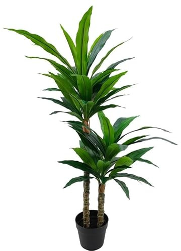Künstliche Pflanze Einer Dracaena aus Acryl, Melamin und Kunststoff, Grün, 100 x 60 x 60 cm