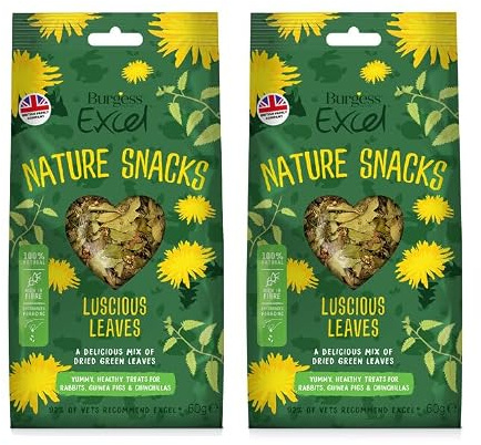 2x 60g Burgess Excel Luscious Leaves Forage Mix for Rabbits, Guinea Pigs, and Chinchillas – Bundled by GetInStyle Shop