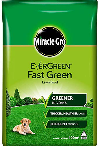Evergreen Extreme Green Bag 400M