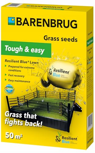 Erba resistente Barenbrug Resilient Blue Prato, 1 kg Semi di erba universali
