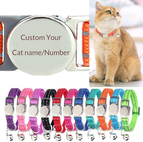 Reflektierendes Katzenhalsband, personalisierbar, graviertes Haustierhalsband mit Name und Telefonnummer, Sicherheitsschnalle und Glocke, 20,3–30,5 cm, verstellbar für Katzen/Kätzchen