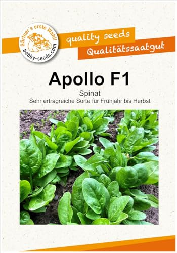 Gemüsesamen Spinat Apollo F1 Portion