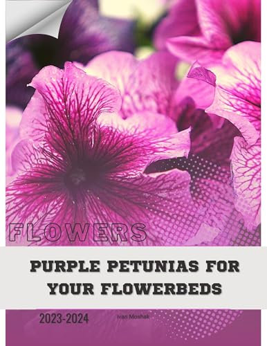 Purple Petunias for Your Flowerbeds: Become flowers expert