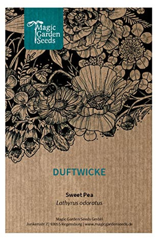 Pisello odoroso (Lathyrus odoratus) - circa 15 semi