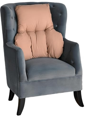 Easylife NHS Back Support Cushion, Lumbar Support Cushion for Chair and Car, Corrects Posture and Treats Back Pain, H63cm x D30cm x W40-60cm, Cream