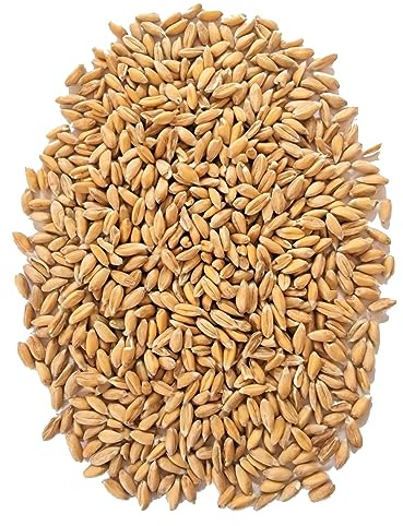 WIDU Ekologisk dinkel lämplig för bakning spannmål hela spannmålet 12,5 kg spannmålspåse