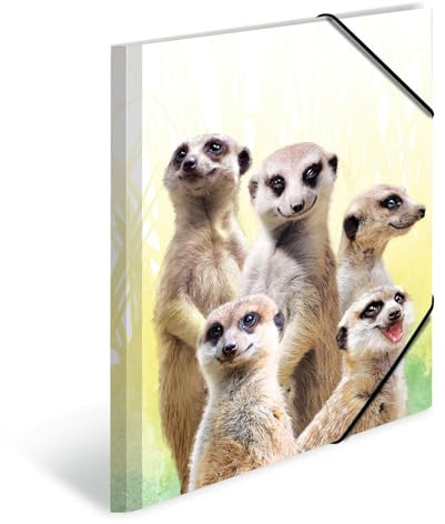 HERMA Sammelmappen A3 Erdmännchen Set, 3 Stück, Kinder Eckspanner-Mappen aus Kunststoff mit Tier Motiv, Gummizug, Innenklappen und Innendruck für Jungen und Mädchen