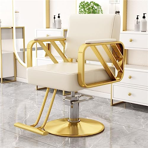 HJDSUDU Hydraulischer Friseurstuhl, hydraulische Friseur-Stylingstühle für Salonfriseur, höhenverstellbar, 360° drehbar, Edelstahl-Armlehnen-Salon-Stylingstühle,J