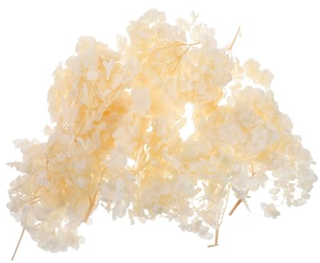 Toyvian Pétales D'Hortensia Immortels Fleurs D'Hortensia Séchées Bouquet De Fleurs Pétales De Séchées pour Mariage Centre De Table Fournitures D'Arrangement
