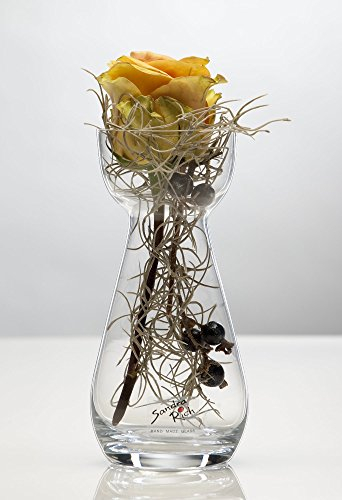 Sandra Rich 6X Glasvase Hyacinth Hyazinthenglas Vase Glas Blumenvase Tischvase, 17 cm