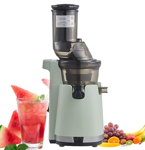 CYTBEK Exprimidor automático de Prensa en frío, máquinas exprimidoras de 250 W, con Dos velocidades de Apertura de 80 mm y exprimidores lentos de 1 litro de Capacidad para Frutas y Verduras Household