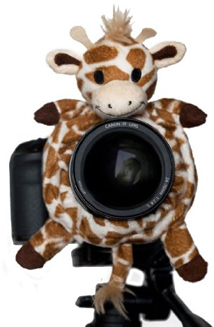 Shutter Huggers Giraffe Shutter Hugger GIR001