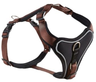 Wolters | Geschirr Professional Comfort in Tabac/Schwarz | Brustumfang 80 - 95 cm