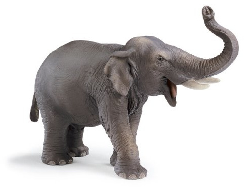 Schleich 14144 - Asiatischer Elefantenbulle