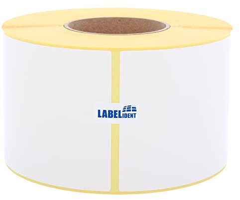Versandetiketten DHL, DPD, Fedex, GLS, Hermes, UPS - 4x6 Zoll - 101,6 x 150 mm - 1.000 Thermo-Eco Papier Etiketten auf 1 Rolle(n) mit 76 mm Kern, Thermodirekt Etiketten selbstklebend, Trägerperfo.