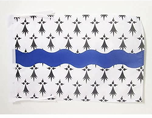 Drapeau Loire-Atlantique 45x30cm - PAVILLON département français - Pays de la Loire 30 x 45 cm haute qualité - AZ FLAG | Usage intérieur et extérieur Drapeau décoratif du département de Loire-Atlantique coutures doubles et bords renforcés