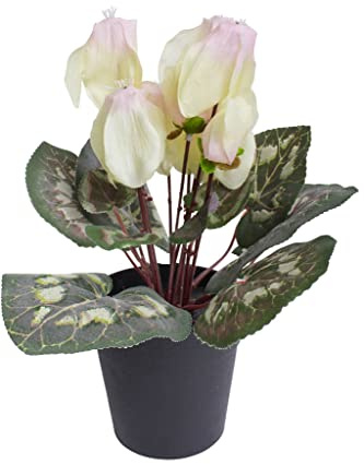 Botanic-Haus künstliches Alpenveilchen (Cyclamen) im schwarzen Kunststofftopf (Creme-pink)