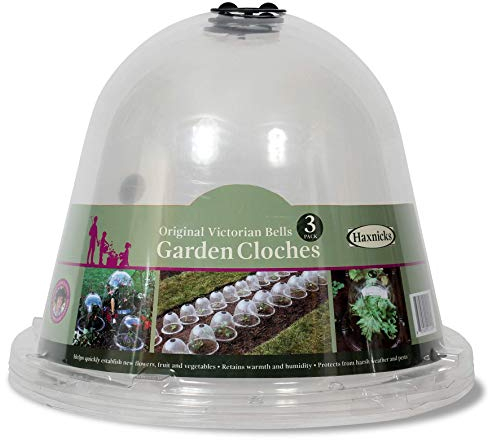 Haxnicks 3 x Medium Original Victorian Bell Garden Cloche Plant Protection | Growing Vegetable | Specimen Plants | Pack of 3| Specimen Plants | Pack of 3 | Transparent, 26 x 34 cm | BELL050101