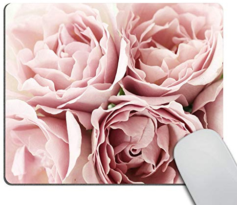 Wasach Pink Roses Rugosa Flower Personality Desings Mouse Pad, Retro Floral Art Mousepad Mat Custom 9.5 X 7.9 Inch (240mmX200mmX3mm)