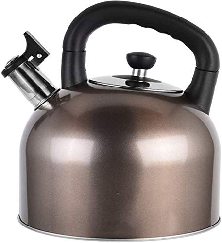 Hervidor Hervidor Hervidor de gas de acero inoxidable 304 Agua hirviendo Cocina de inducción de gas Silbato Hervidor pequeño Tetera de acero inoxidable pesa rusa DF